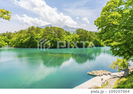 初夏の毘沙門沼(五色沼)の風景 新緑と湖面 福島県北塩原村 初夏の毘沙門沼(五色沼)の風景 新緑と湖面 福島県北塩原村 109207804