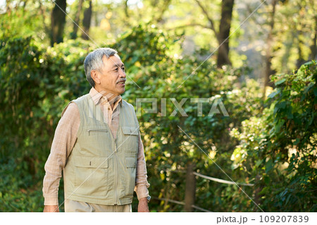 公園を散歩するシニア男性 109207839