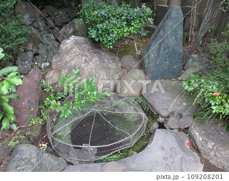 東京都港区高輪の泉岳寺にある首洗い井戸 東京都港区高輪の泉岳寺にある首洗い井戸 109208201