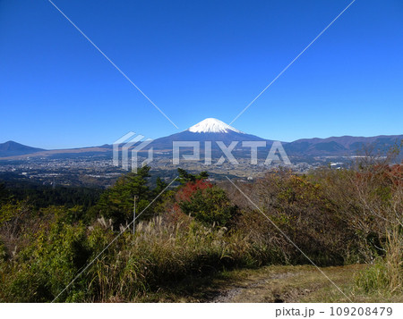 足柄城址から望む富士山（静岡県駿東郡小山町）2023年11月撮影 109208479