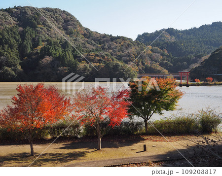 亀山湖畔公園(押込地区) 109208817