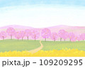 菜の花畑と桜のある風景のイラスト 109209295