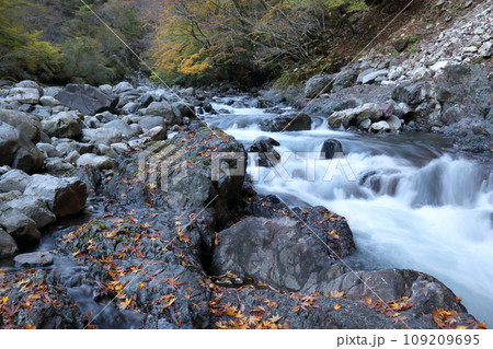晩秋の渓谷を眺める　（べふ峡　高知県） 109209695