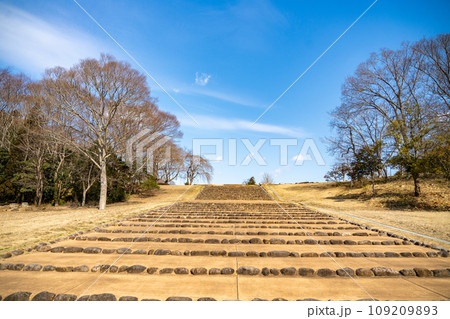多賀城　政庁跡　宮城県多賀城市 109209893