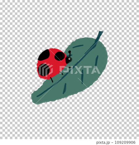 Illustration material of ladybug and leaf 109209906