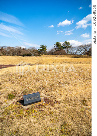多賀城政庁跡　東南建物跡　宮城県多賀城市 109209959