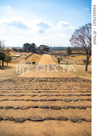 多賀城政庁跡 多賀城南門 多賀城外郭南門 宮城県多賀城市 多賀城政庁跡 多賀城南門 多賀城外郭南門 宮城県多賀城市 109209964