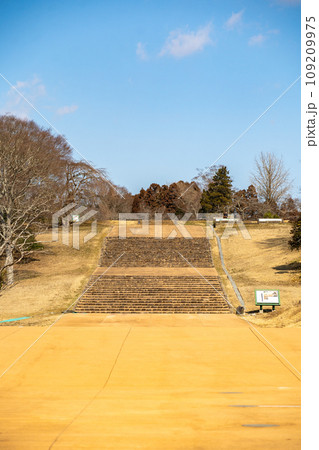多賀城政庁跡　宮城県多賀城市 109209975