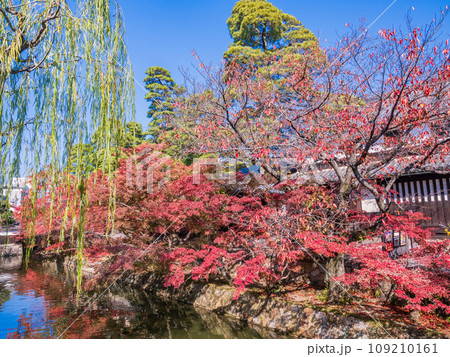 (岡山県)倉敷美観地区 紅葉 (岡山県)倉敷美観地区 紅葉 109210161