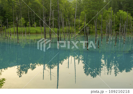 観光スポットの美しい青い池 109210218