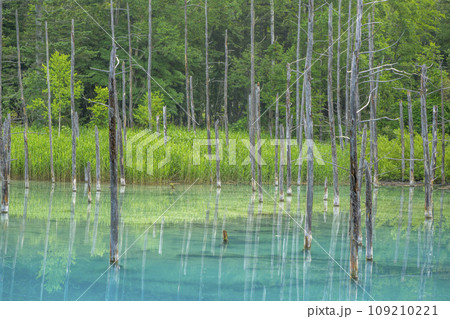 美しい水面の青い池 109210221