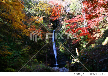 埼玉県皆野町 深まる秋の神秘的な秩父華厳の滝 埼玉県皆野町 深まる秋の神秘的な秩父華厳の滝 109210249