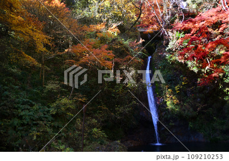 埼玉県皆野町　深まる秋の神秘的な秩父華厳の滝 109210253