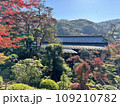 紅葉に包まれた秋の山寺 109210782