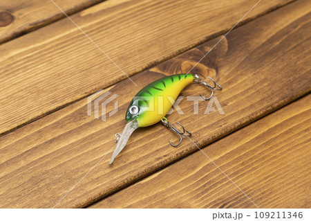 ルアー 109211346