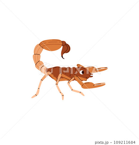 Cute smiling scorpion dessert animal flat style, vector illustration Cute smiling scorpion dessert animal flat style, vector illustration 109211684