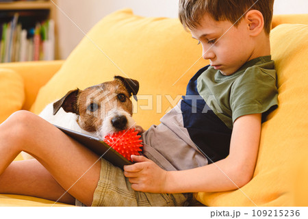 Attention seeking dog behaviour concept. Bored dog disturbs boy watching video on tablet computer Attention seeking dog behaviour concept. Bored dog disturbs boy watching video on tablet computer 109215236