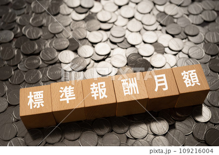 標準報酬月額と書かれたブロックとお金 標準報酬月額と書かれたブロックとお金 109216004