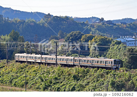 東海道本線　菊川ー金谷　JR東海　211系　LL4編成（静岡） 109216062