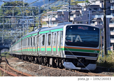 東海道本線　真鶴　JR東日本　E231系1000番台　U10編成（小山） 109216083