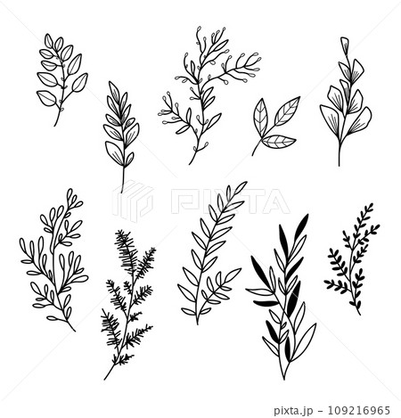 Vector illustration Set of flowers and leaves in doodle hand drawing style. 109216965