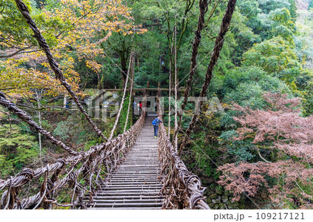 【徳島】祖谷のかずら橋【秋】 109217121