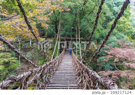 【徳島】祖谷のかずら橋【秋】 【徳島】祖谷のかずら橋【秋】 109217124
