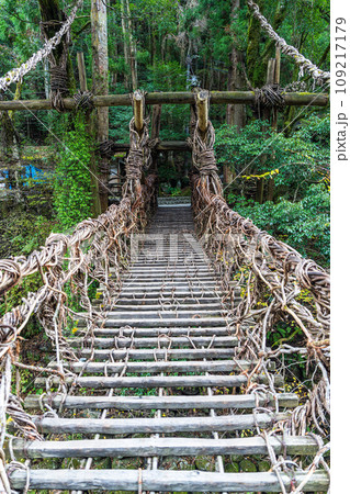 【徳島】祖谷のかずら橋【秋】 109217179