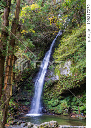 【徳島】琵琶の滝【秋】 109217270