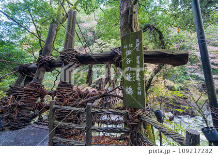 【徳島】祖谷のかずら橋【秋】 【徳島】祖谷のかずら橋【秋】 109217282