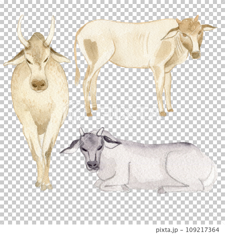 Indian Traditional Cow. Clipart. Watercolor hand drawn art illustration on white background. For cards, handmade textiles, prints, menus, poster. 109217364