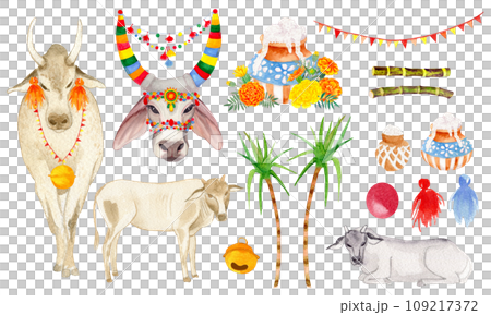 Indian traditional holy cow and yellow, orange marigold flowers, leaves and buds. Indian festival Diwali floral decorations. Clipart. Pongal. Watercolor artistic illustration on a white background. Indian traditional holy cow and yellow, orange marigold flowers, leaves and buds. Indian festival Diwali floral decorations. Clipart. Pongal. Watercolor artistic illustration on a white background. 109217372
