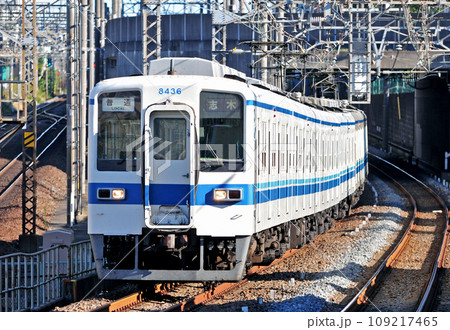 東武東上線　東武鉄道　8000系　8436 109217465
