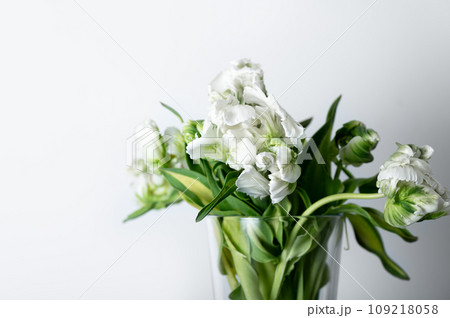 Bunch of Parrot Style Tulips 109218058