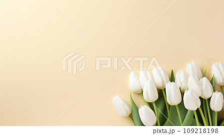 White tulips on the pink background. Valentines background. White tulips on the pink background. Valentines background. 109218198