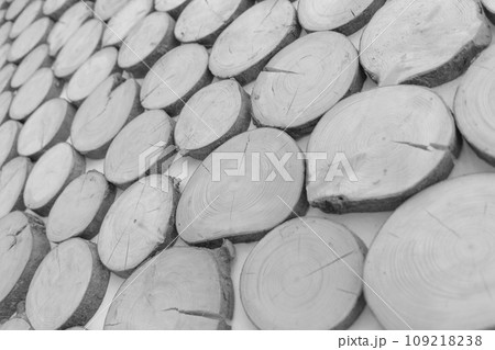 Timber round annual wooden rings, logs tree wood interior grey decoration wall forest background lumber gray 109218238