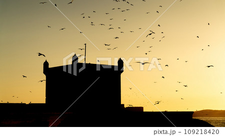 Silhouette of Sqala du Port at sunset, a historic fortress overlooking the Atlantic Ocean at the fishing port of Essaouira with many seagulls flying overhead, Morocco. 109218420