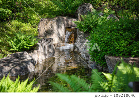 Waterfall in Japanese garden in summer 109218646