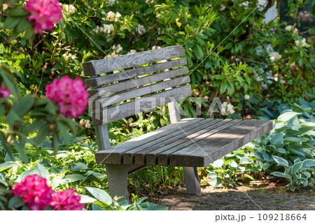 Bench with flowers in the public garden. Beautiful natural park with blooming bushes in the summer. Simple wooden bench in an outdoor park on a sunny day 109218664