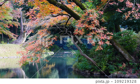 紅葉のある風景 109219328
