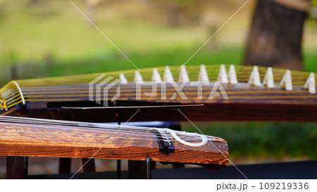 箏の音色が小石川後楽園で響き渡る 箏の音色が小石川後楽園で響き渡る 109219336