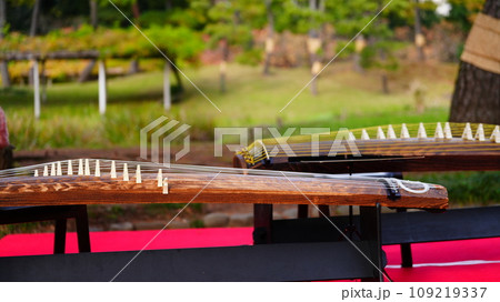 箏の音色が小石川後楽園で響き渡る 109219337