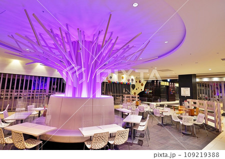 新千歳空港 スマイルロードのロビー 新千歳空港 スマイルロードのロビー 109219388