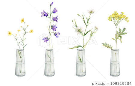 Watercolor botanical illustration on isolate white background. Clipart of meadow and forest flowers in a glass vase. Yellow field flowers - common tansy and buttercup. Bluebell and stellaria holostea Watercolor botanical illustration on isolate white background. Clipart of meadow and forest flowers in a glass vase. Yellow field flowers - common tansy and buttercup. Bluebell and stellaria holostea 109219584