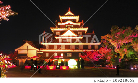 岡山城天守閣ライトアップ5 109219658