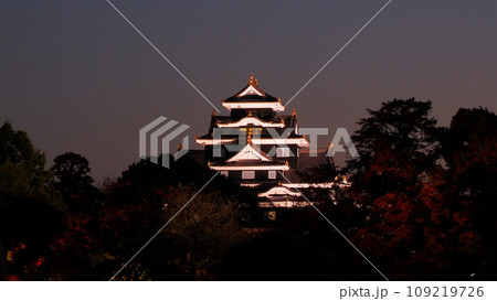 岡山後楽園ライトアップ6 岡山後楽園ライトアップ6 109219726