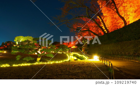 岡山後楽園ライトアップ16 岡山後楽園ライトアップ16 109219740