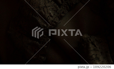 背景素材 バックグラウンド 4k テクスチャー 黒 ブラック black コンセプト レース 装飾 背景素材 バックグラウンド 4k テクスチャー 黒 ブラック black コンセプト レース 装飾 109220206