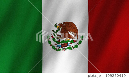 Mexico flag waving in the wind. Flag of Mexico images Mexico flag waving in the wind. Flag of Mexico images 109220419