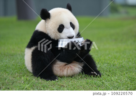 優浜のミルクタイム 109220570